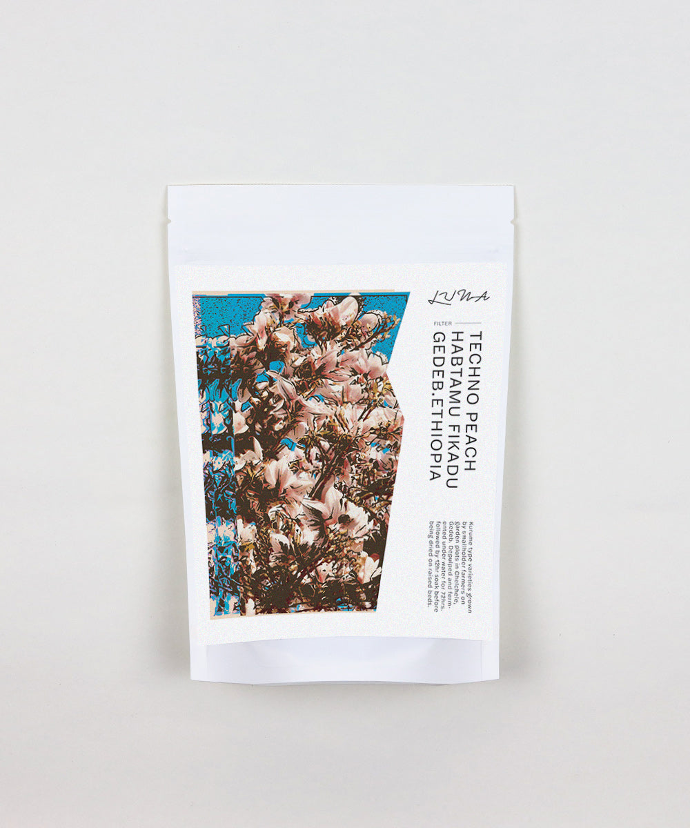 Techno Peach ~ Habtamu Fikadu | Gedeb, Ethiopia (2024)