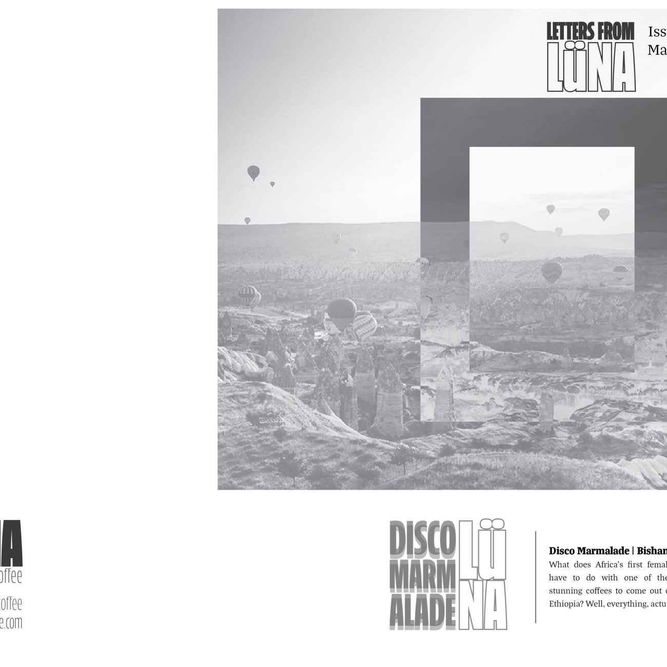 Disco Marmalade (2017) - local landrace from Bishan Fugu community in Guji, Ethiopia