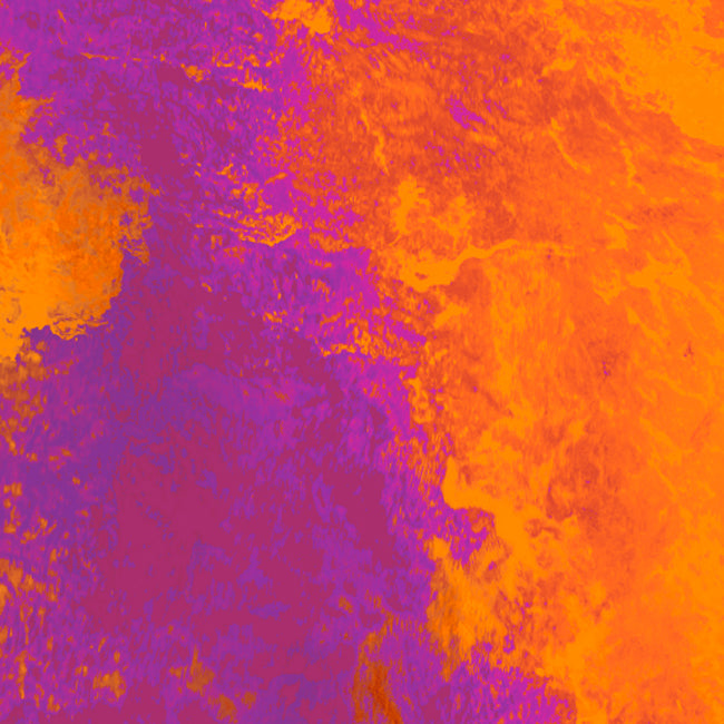 Polo Calderon (Pink Bourbon)