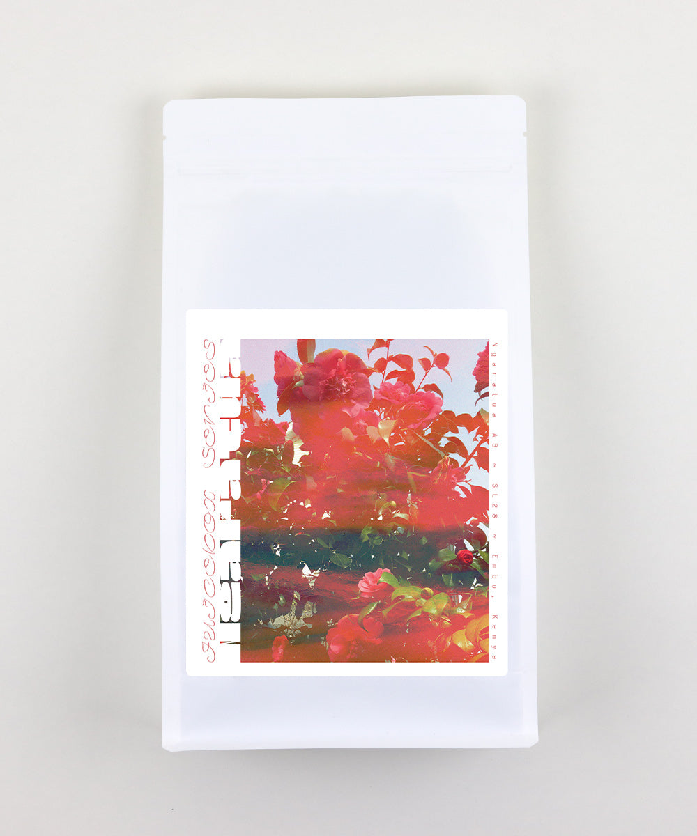 Juicebox Series - Ngaratua AB from Embu, Kenya (2022)