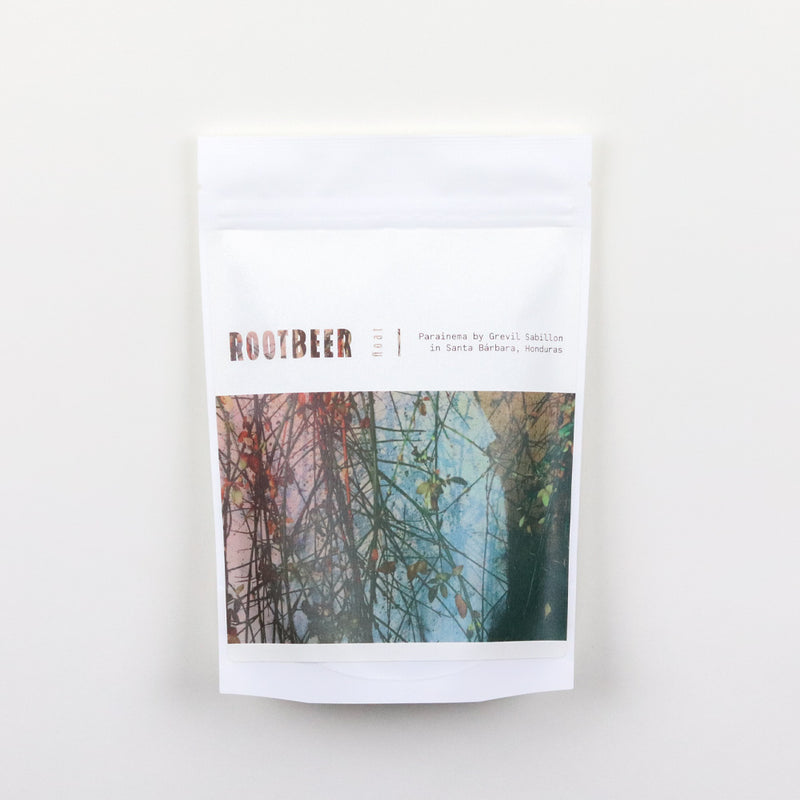 Rootbeer Float – Parainema by Grevil Sabillon in Santa Bárbara, Honduras (2022)