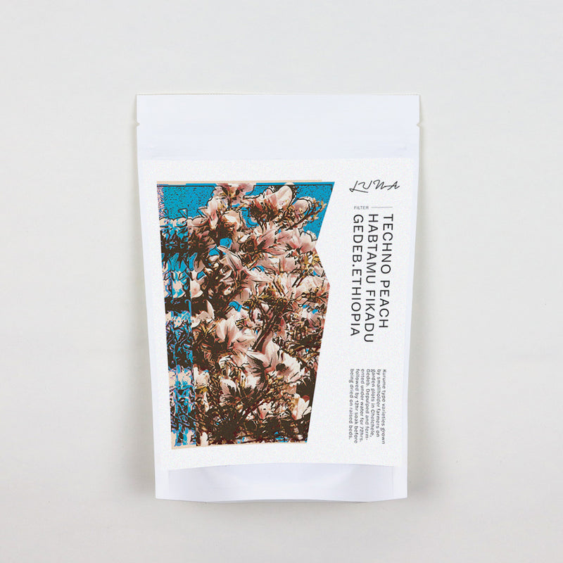 Techno Peach ~ Habtamu Fikadu | Gedeb, Ethiopia (2024)